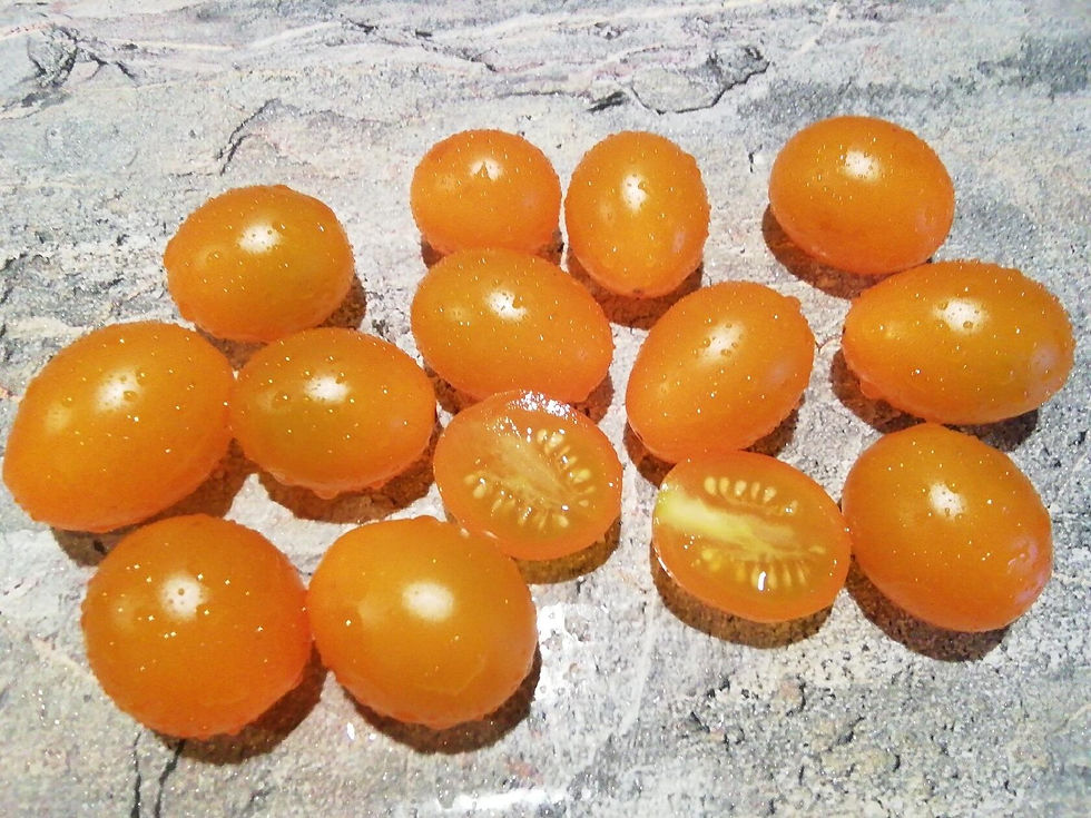 3596 - Cherry Burbulka / Черри Бурбулька