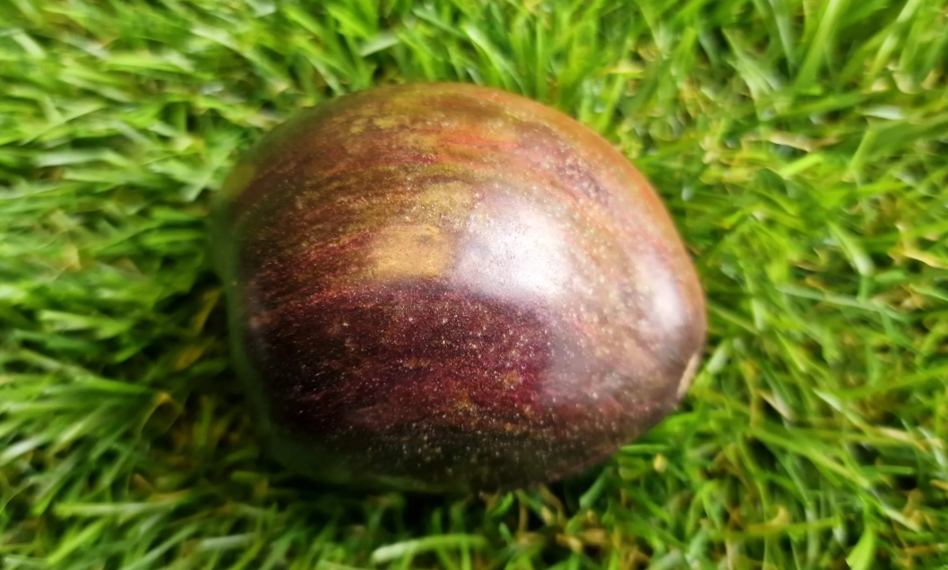 4256 - Mystery of the Galaxy / Тайна галактики