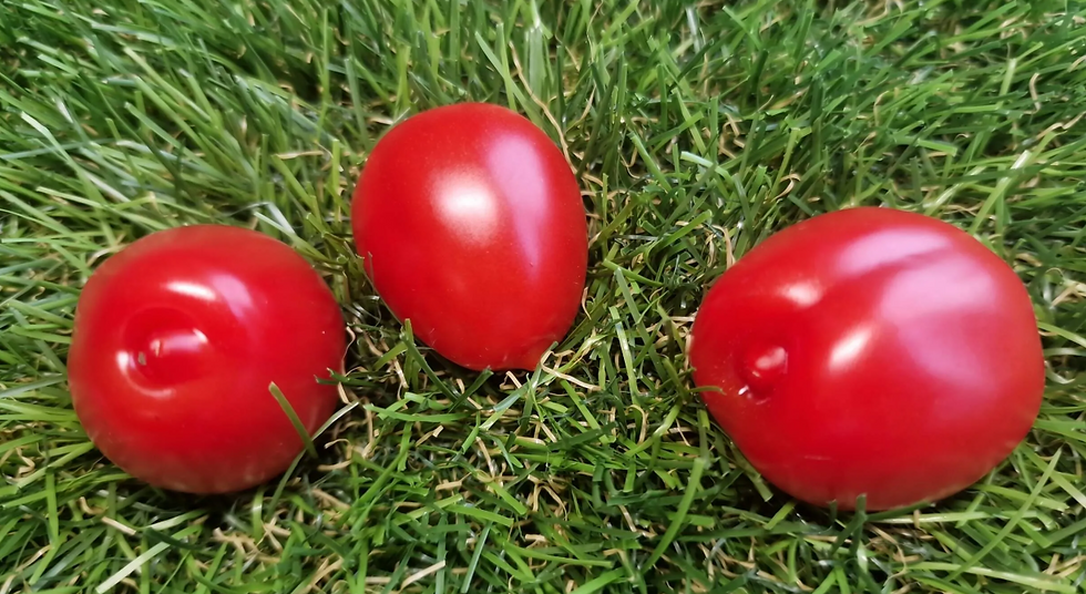 5195 - Cherry Fresa Rojo / Черри Клубника красная