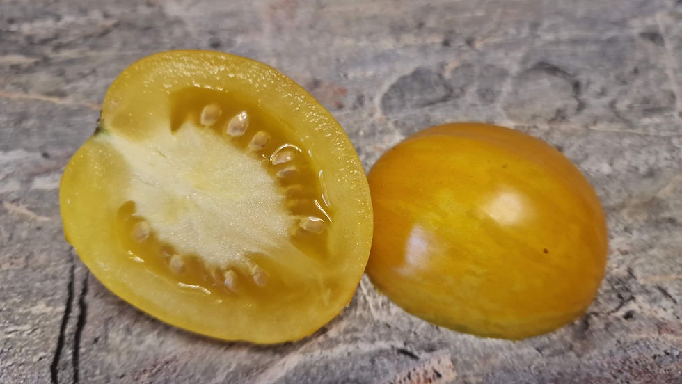 Thumbnail: 1098 - Tigerette Cherry Yellow  / Тигровая жёлтая   вишня