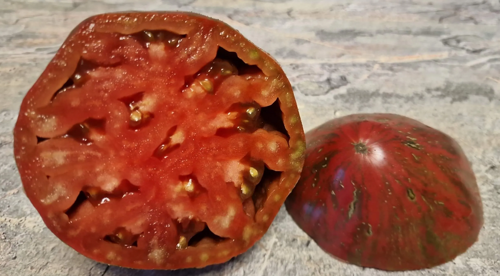 Thumbnail: 4414 - La mia Luce  / Мой луч света