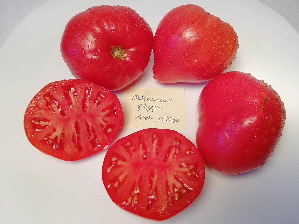 2928- Women's breasts / Женская грудь