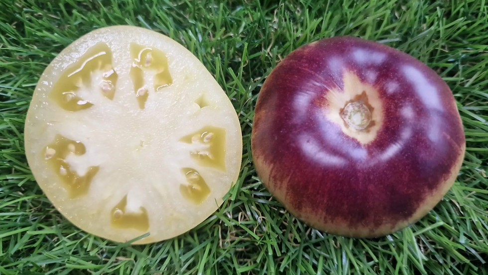 Thumbnail: 5175 - Mordovian magician F5 / Мордовский кудесник