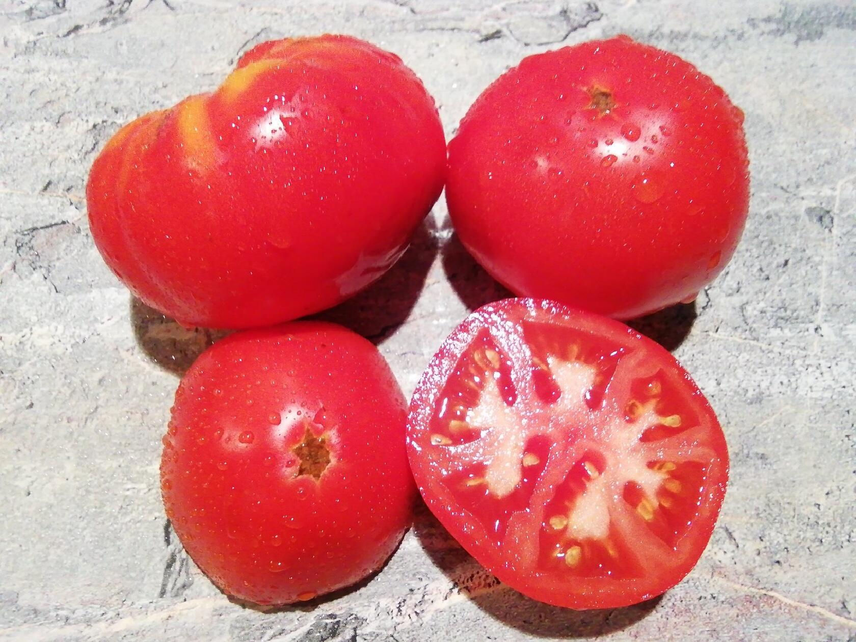 3865 - Гном ХРМ / Dwarf  HRM