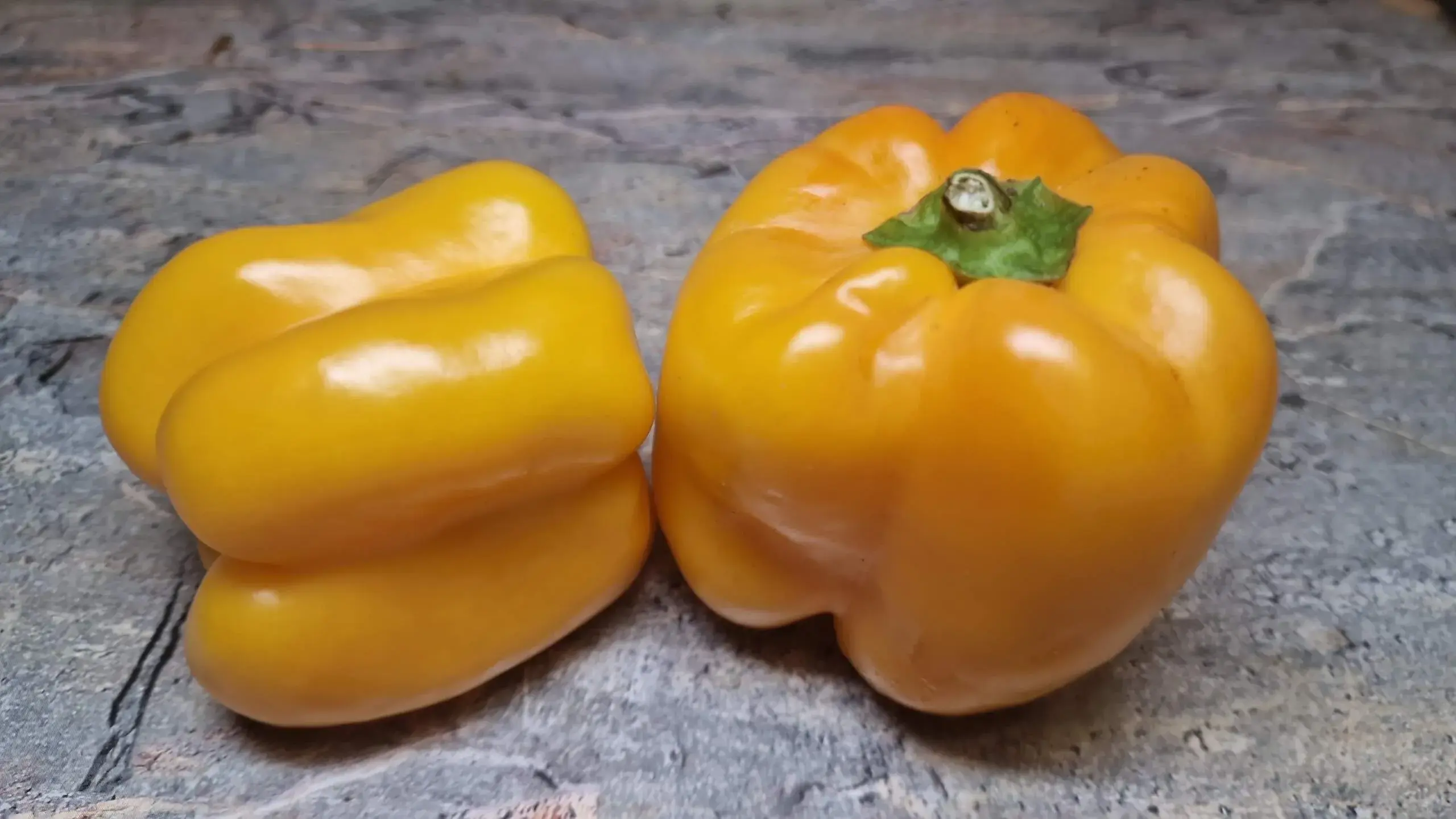 П 449 - Sands of Dakar / Пески Дакара