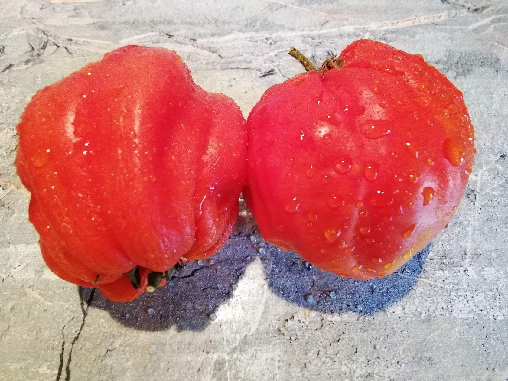 3333 - Coeur de Boeuf de Nice / Бычье сердце из Ниццы