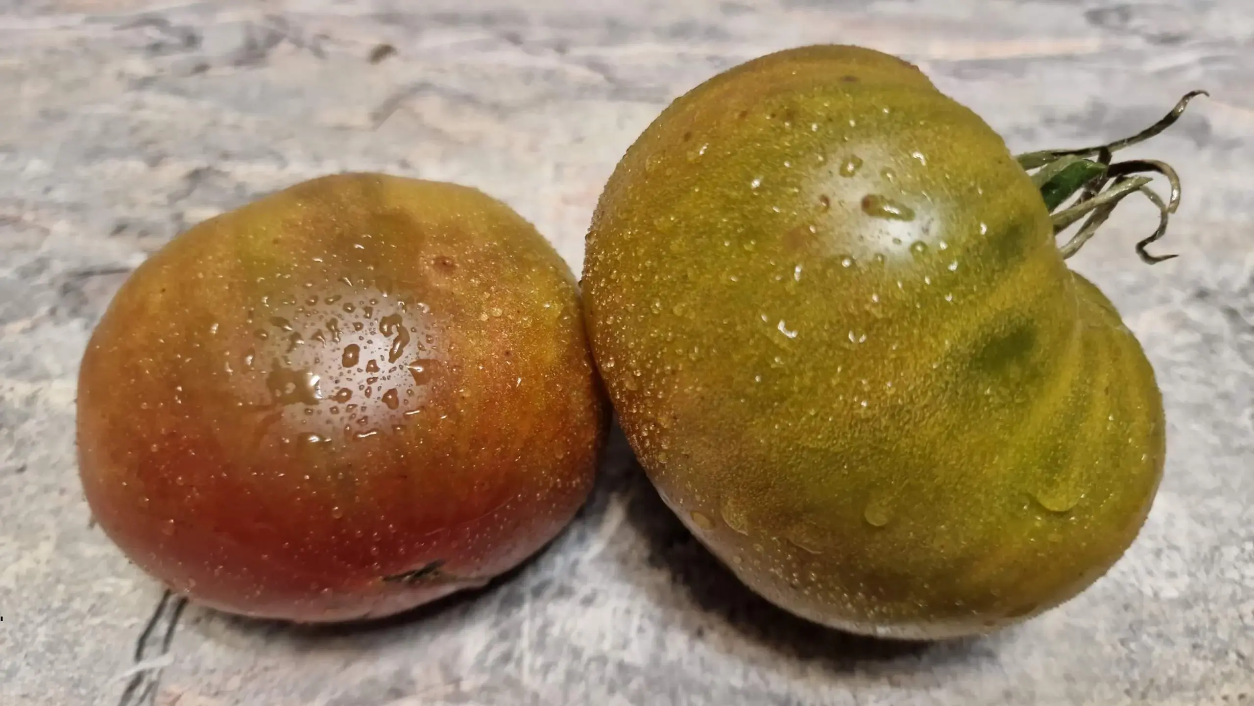 4085 - Jarson 2/1 / Ярсон 2/1