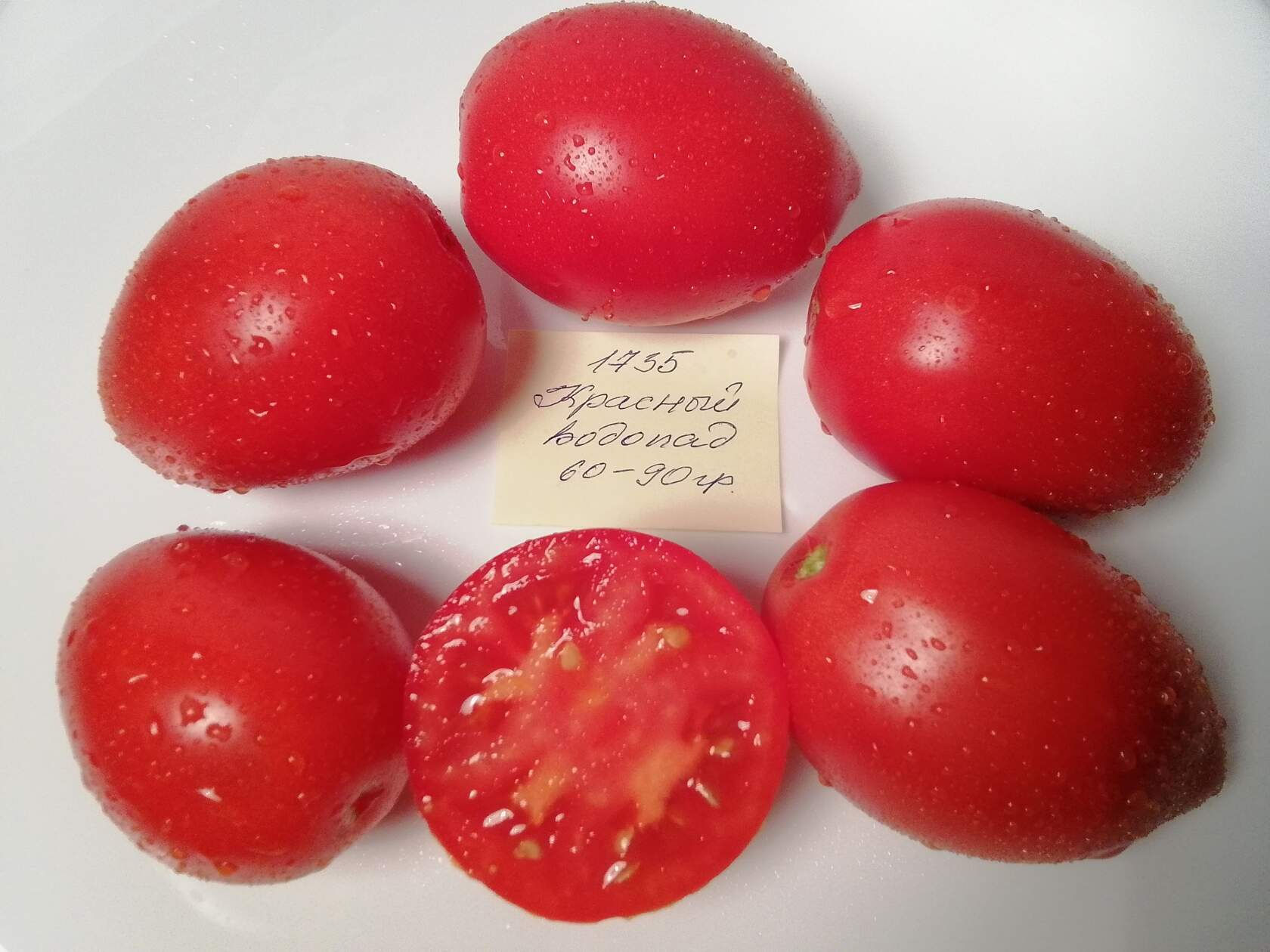 1735- Red Falls /  Красный водопад