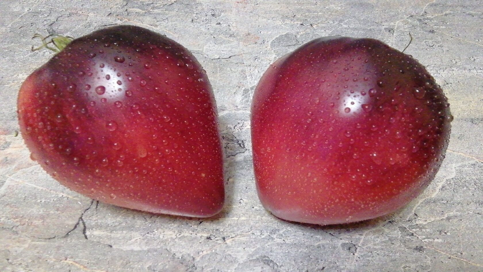 3391 - Sgt. Marley / Сержант Марли