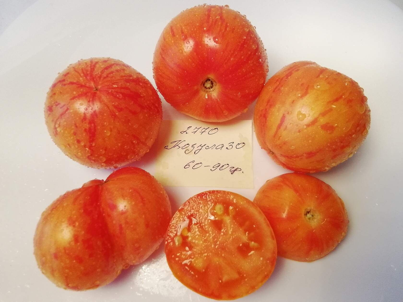 2770- Kozula 30 / Козула 30