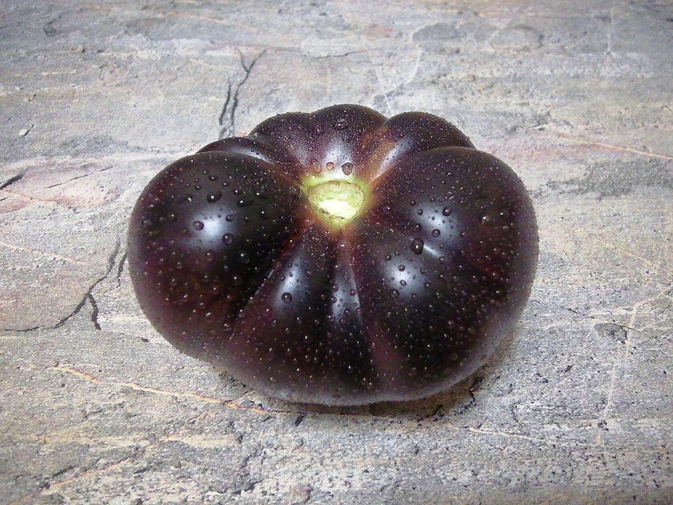 3998 -Star beauty / Звёздная красота