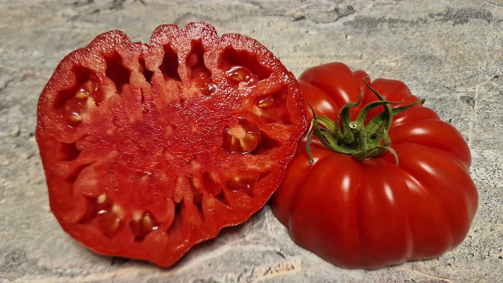 Миниатюра: 4250 - Beefsteak Albi / Бифштекс Альби