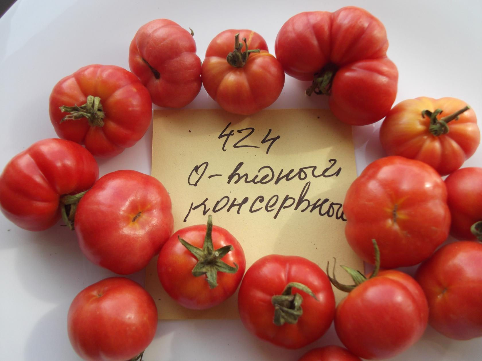 424 - Heart-shaped canning \ Сердцевидный консервный