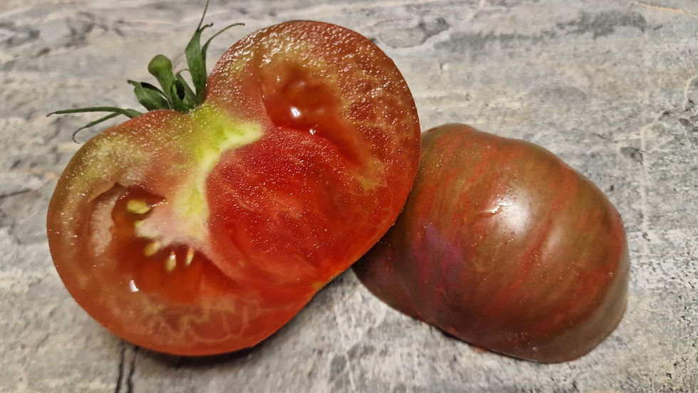 Thumbnail: 1743 - Kozula 138 Malinowa Zebra st. /Козула 138 Малиновая Зебра