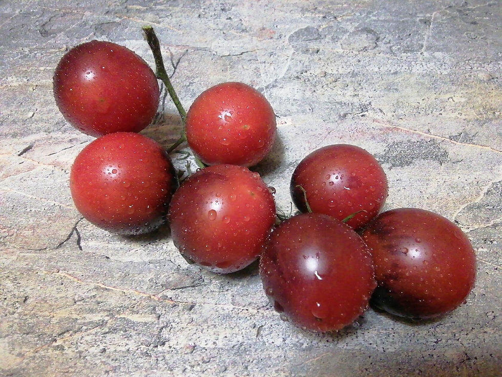 4038 - Chocolate gift / Шоколадный подарок