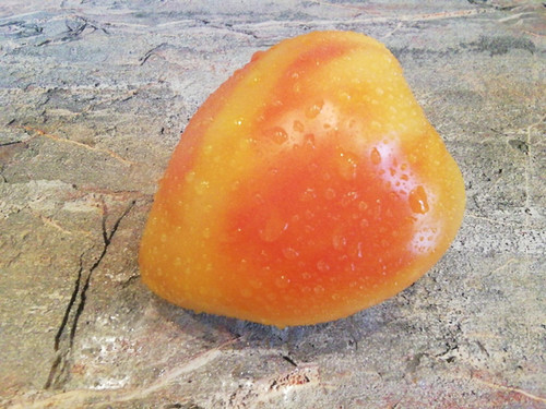 3950 - Рineapple strawberry F1 / Ананасная клубника | Tomatoeden