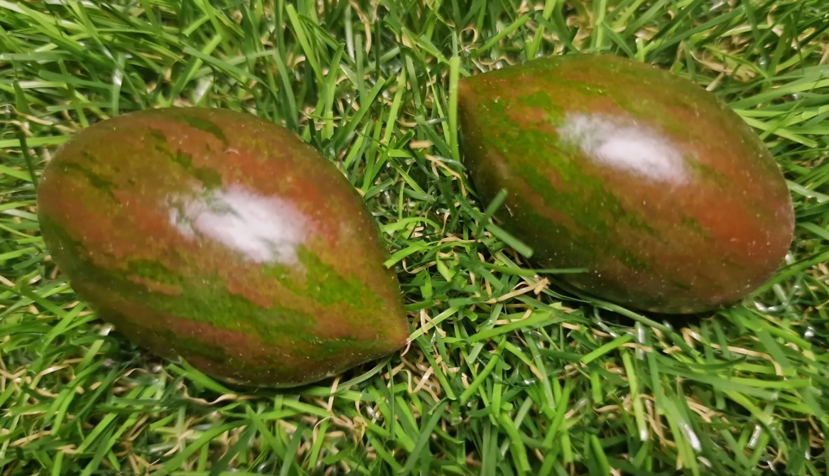 5174 - Mordovian camouflage F5 / Мордовский камуфляж