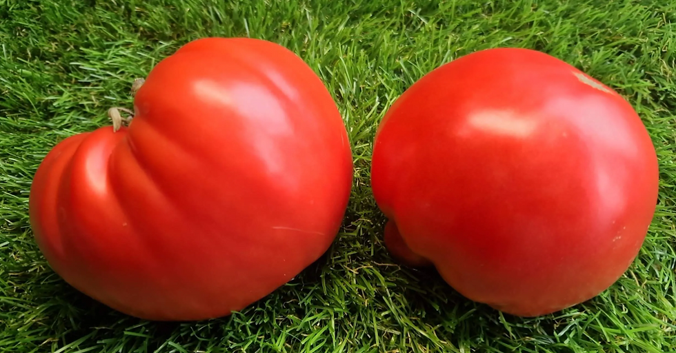 2747 - Grandma's Honey / Бабушкин Мёд