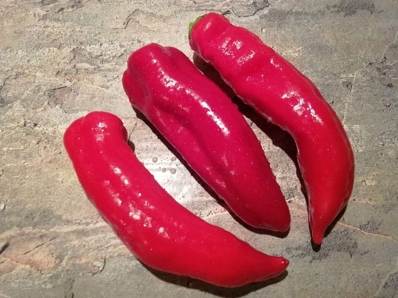 П 182 -Giant Marconi / Гигантский Маркони