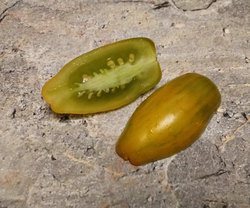 Thumbnail: 4683 - Casady’s Sunrise  / Восход солнца Касади