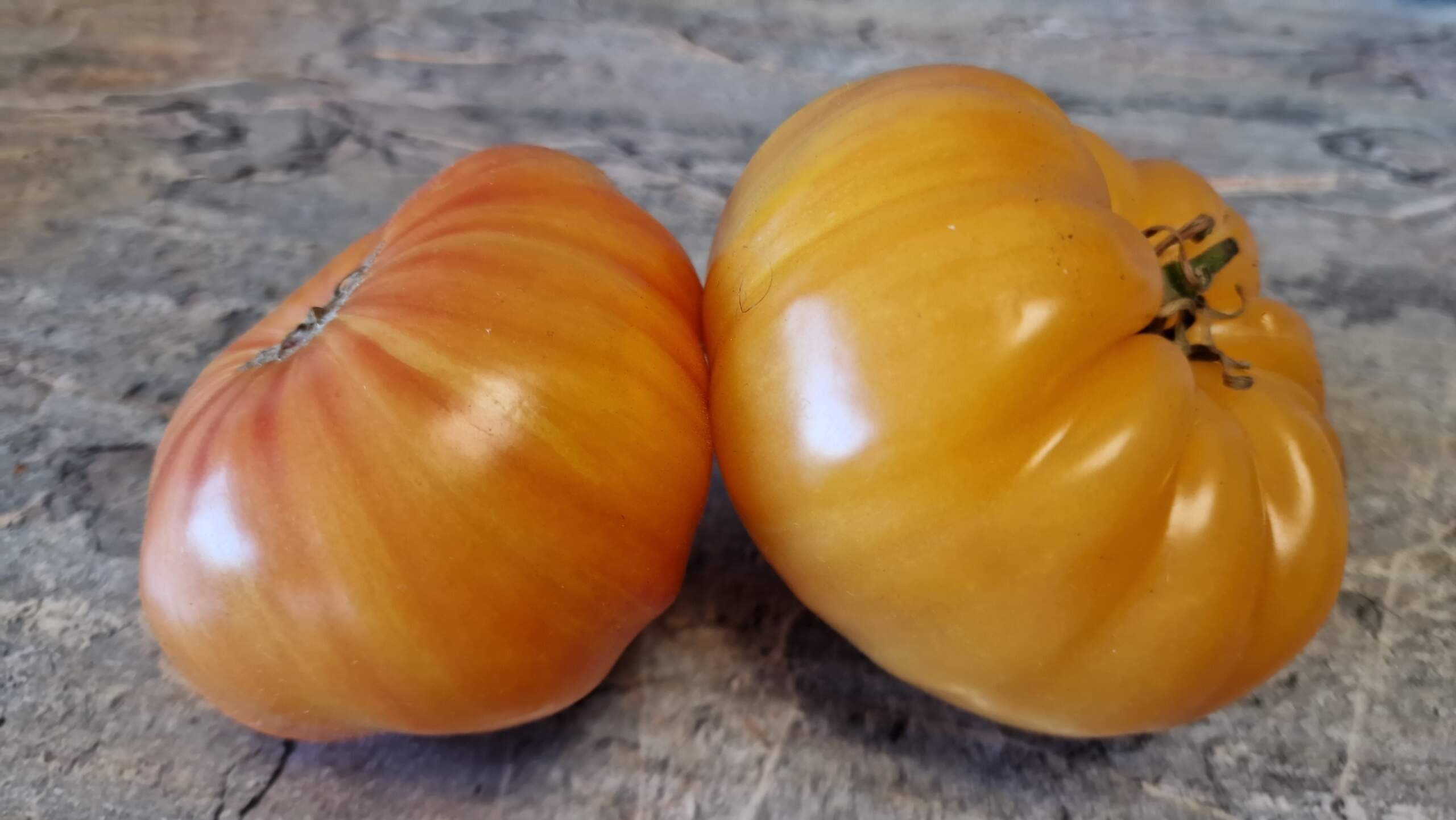 4238 - Poongi  / Пунги