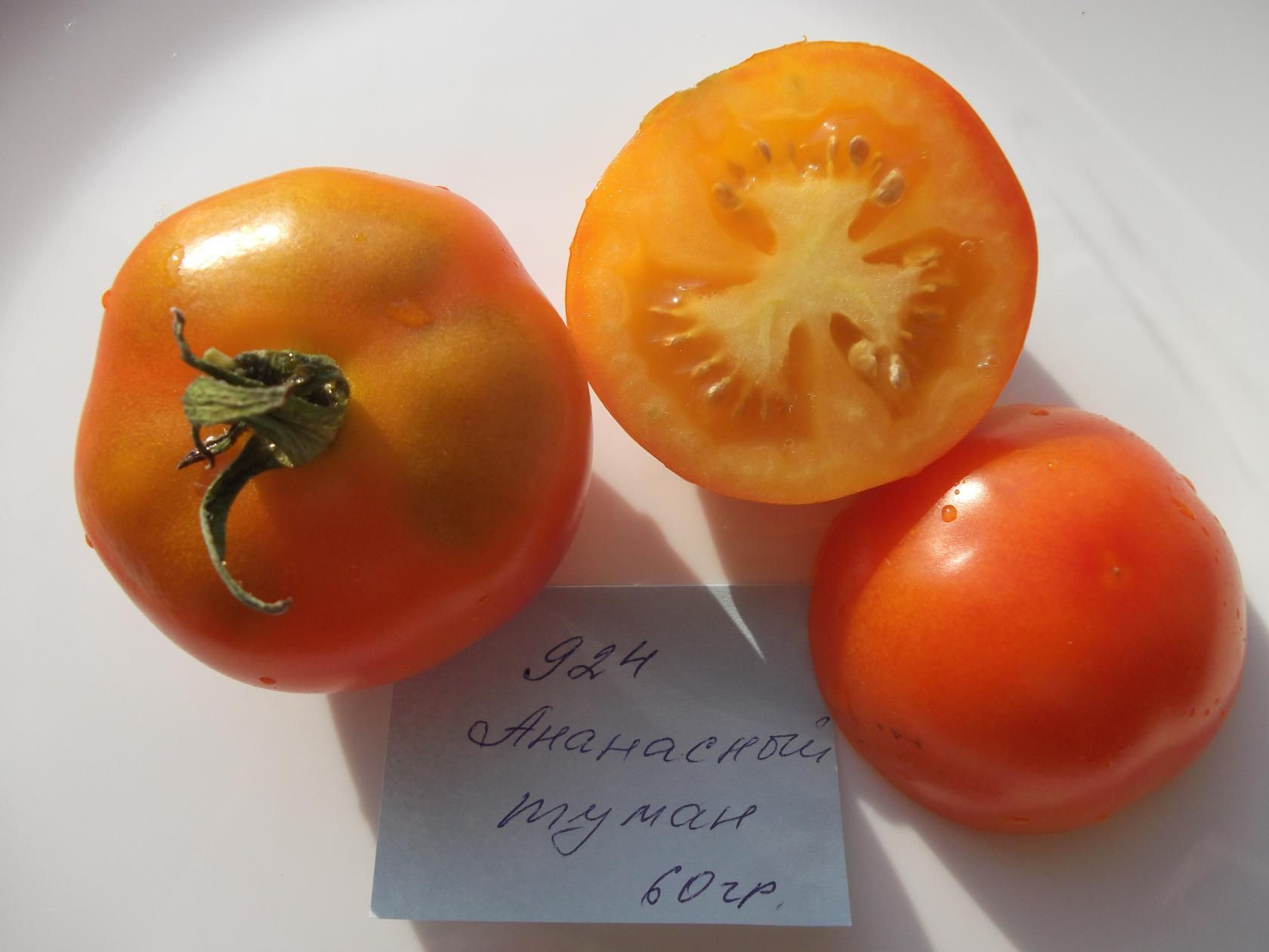 924 - Pineapple Fog \ Ананасный туман