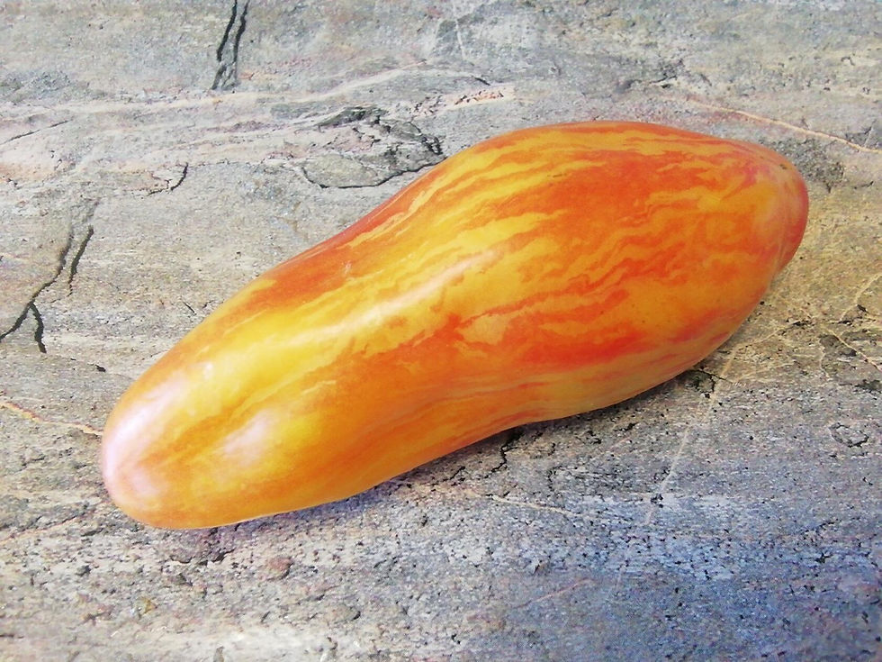 Thumbnail: 3826 - Yellow Tullip / Тюльпан жёлтый