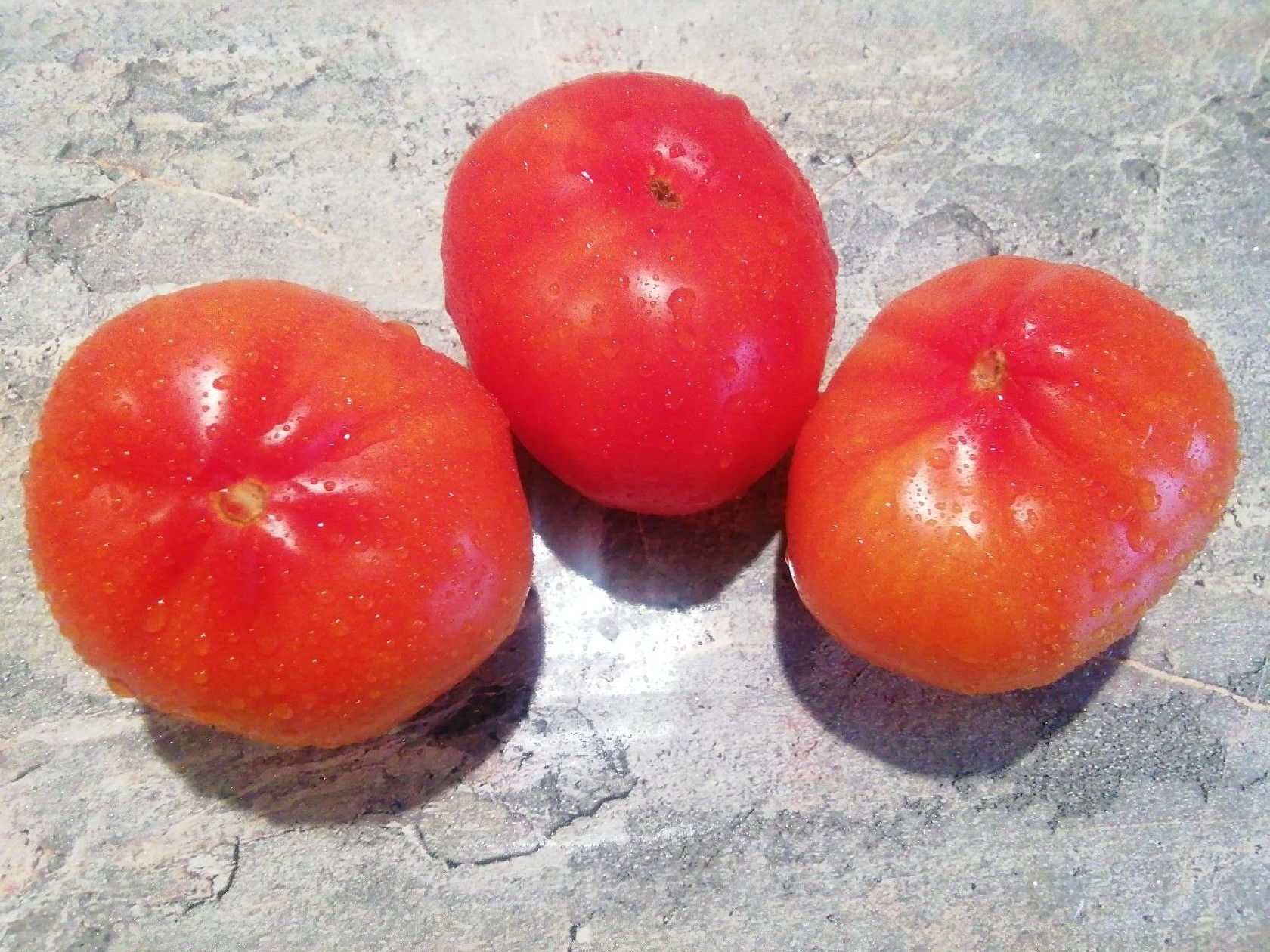 3619 - Ananas Beuteltomate Ананасовый Помидор