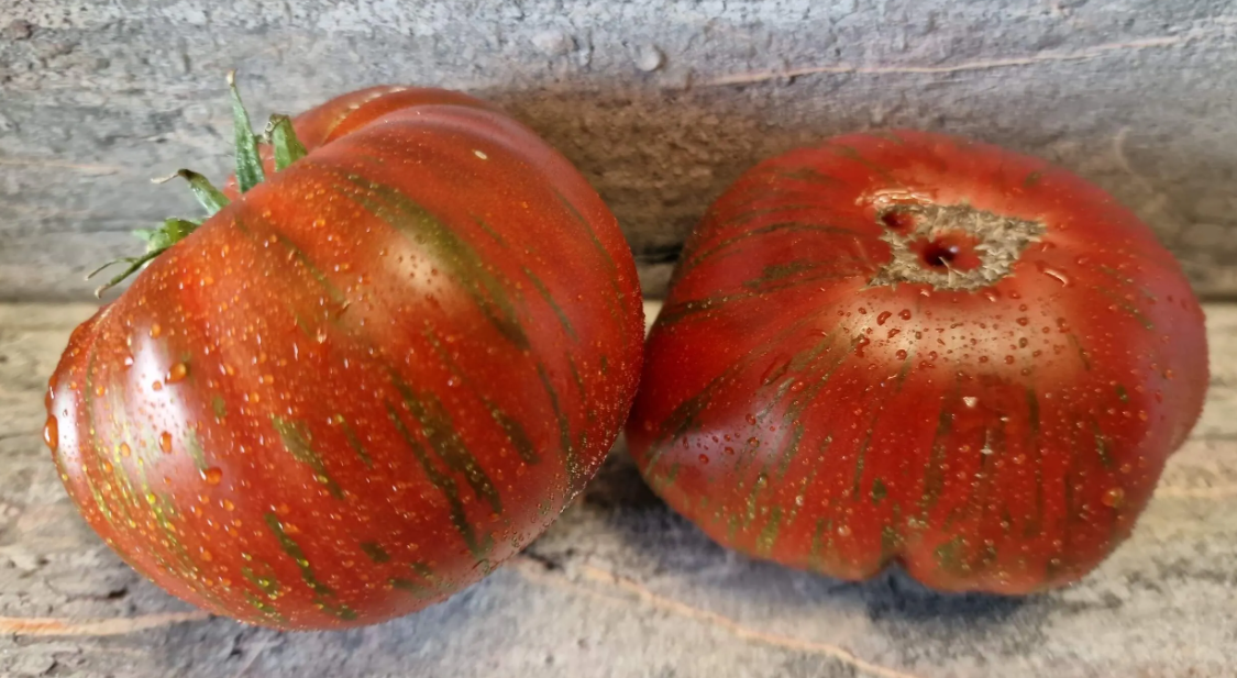 4199 - Gun Metal Grey 2.0