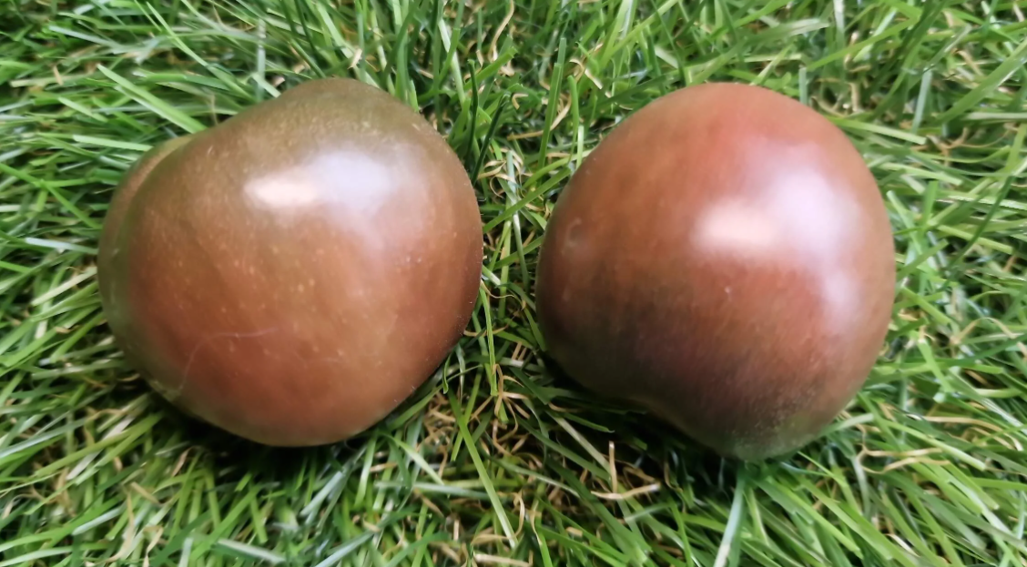 1257 - Waltingers Fleisch aus Indien / Мясо Уолтингера из Индии