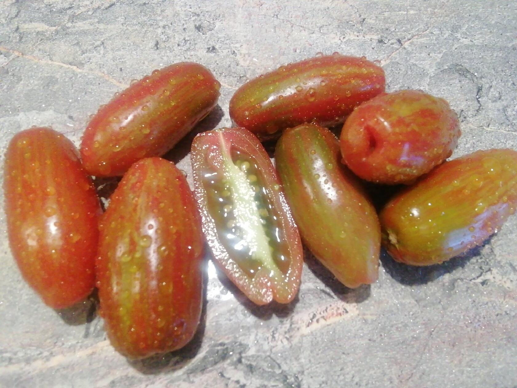 3765 - Black cassady / Кассади чёрный