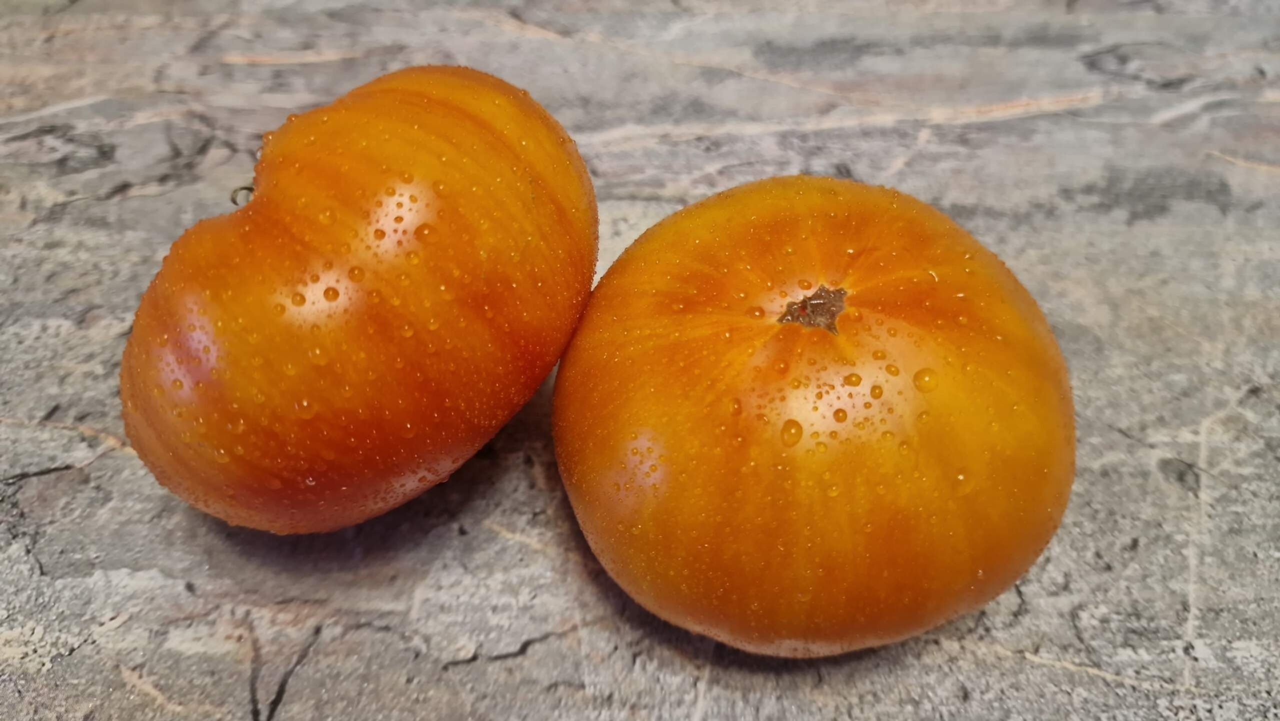 1675 - Jennifer F5 / Дженнифер