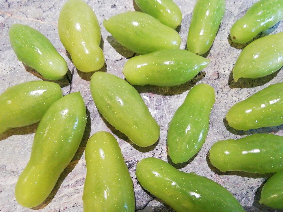 Thumbnail: 3812 - Dancing Green Fingers      Танцующие зелёные пальцы