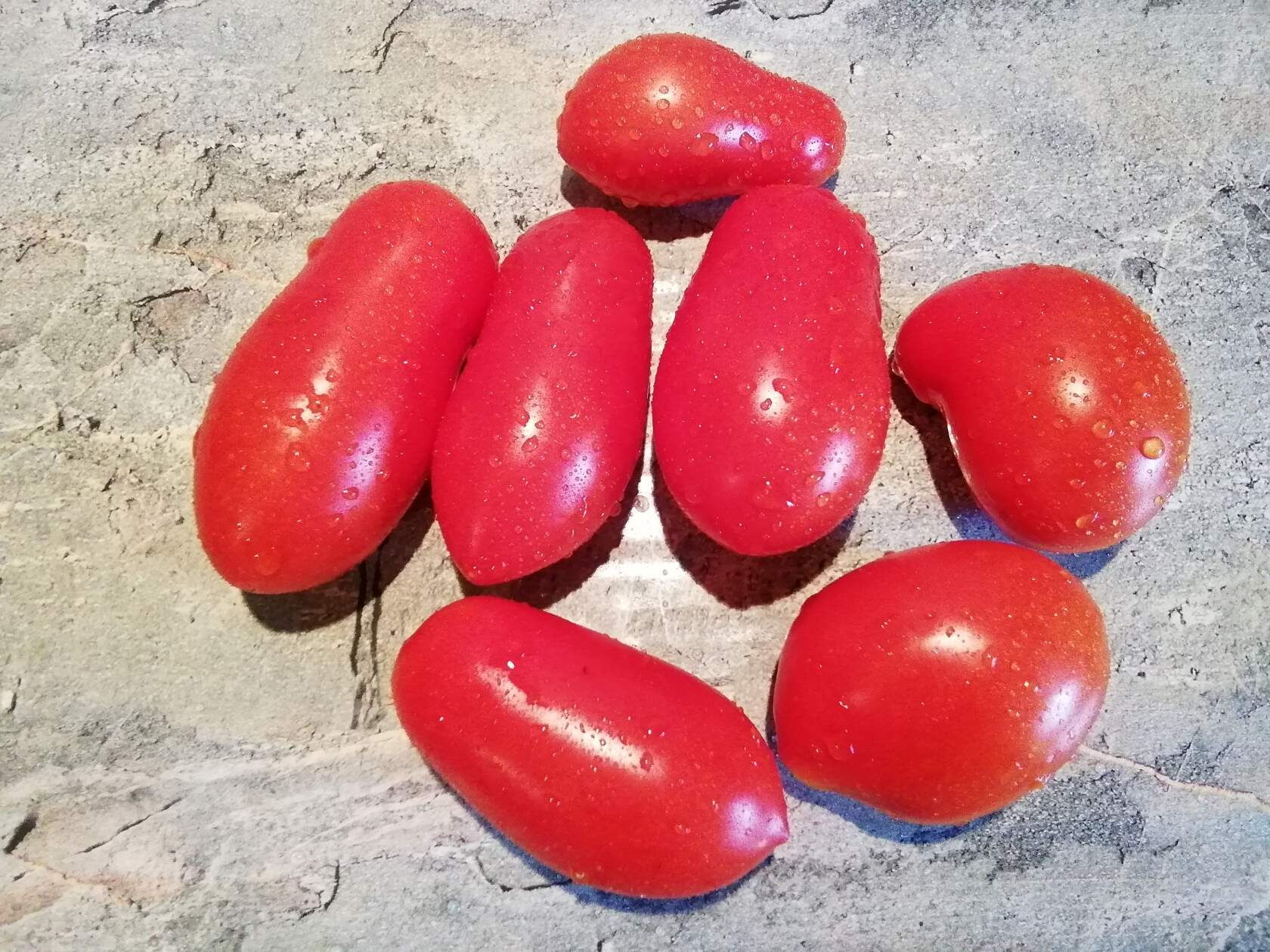 1478 - Room surprise \ Комнатный сюрприз