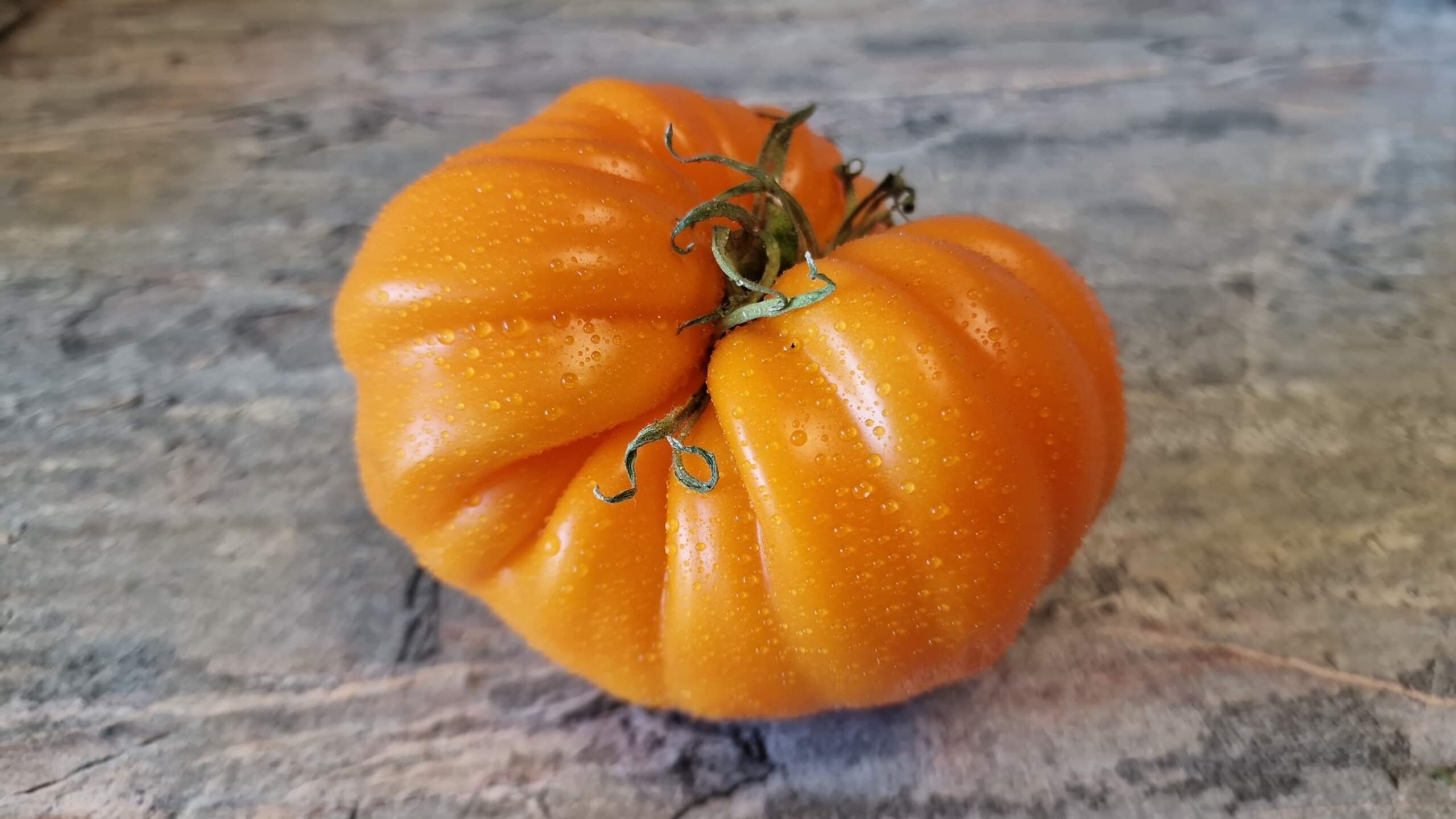 4088 - Neifan  / Нейфан