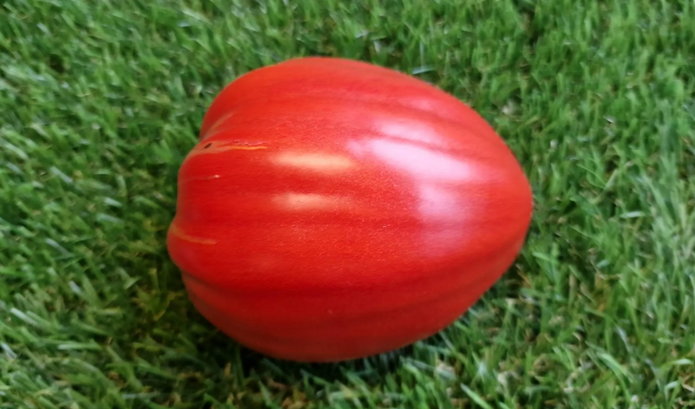 4912 - Cuore di Bue Bistecca San Giuliano / Стейк из бычьего сердца Сан Джулиано