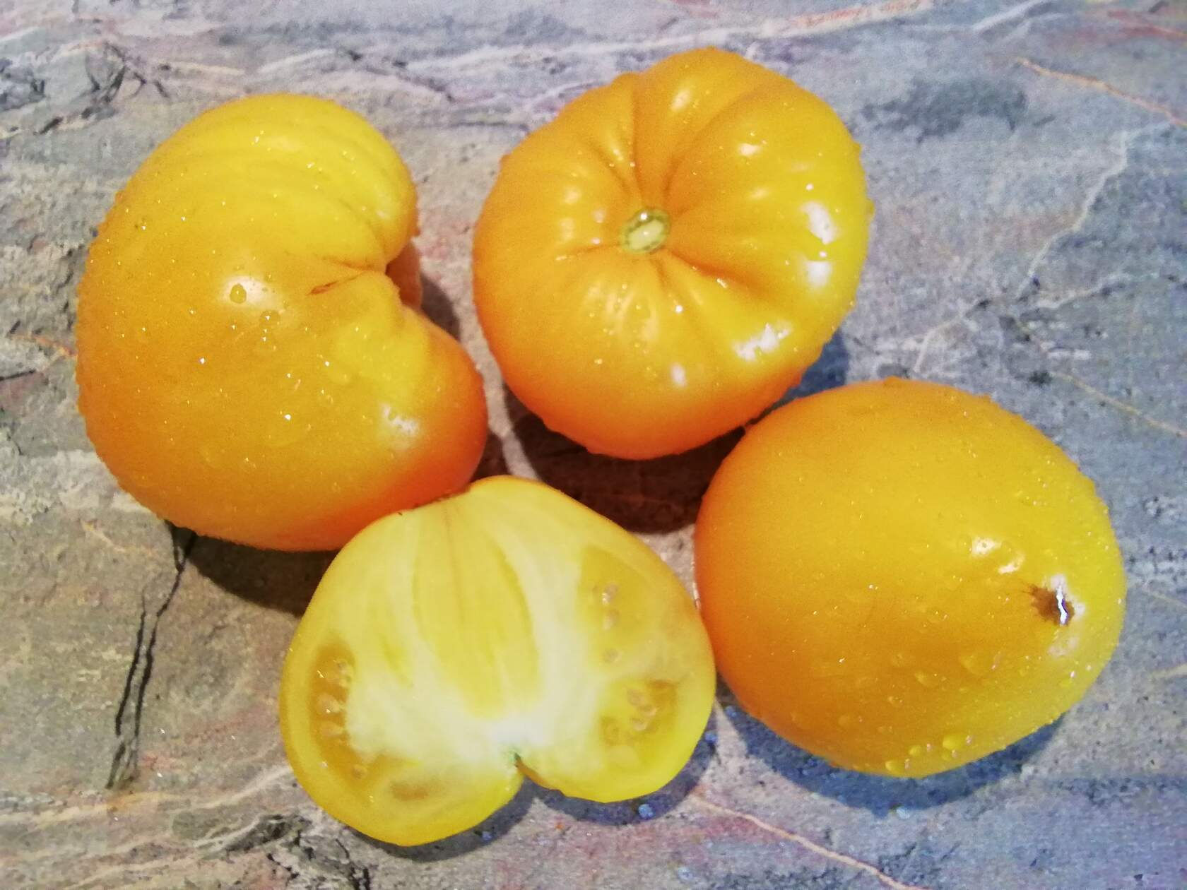 3203-Zolotoj Larec Золотой ларец