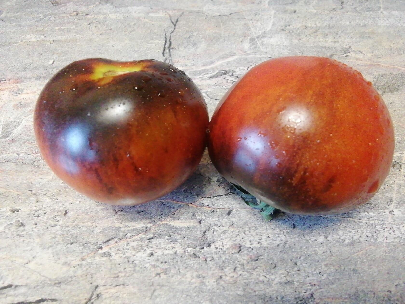 192-Chestnut Chocolate  / Каштановый шоколад