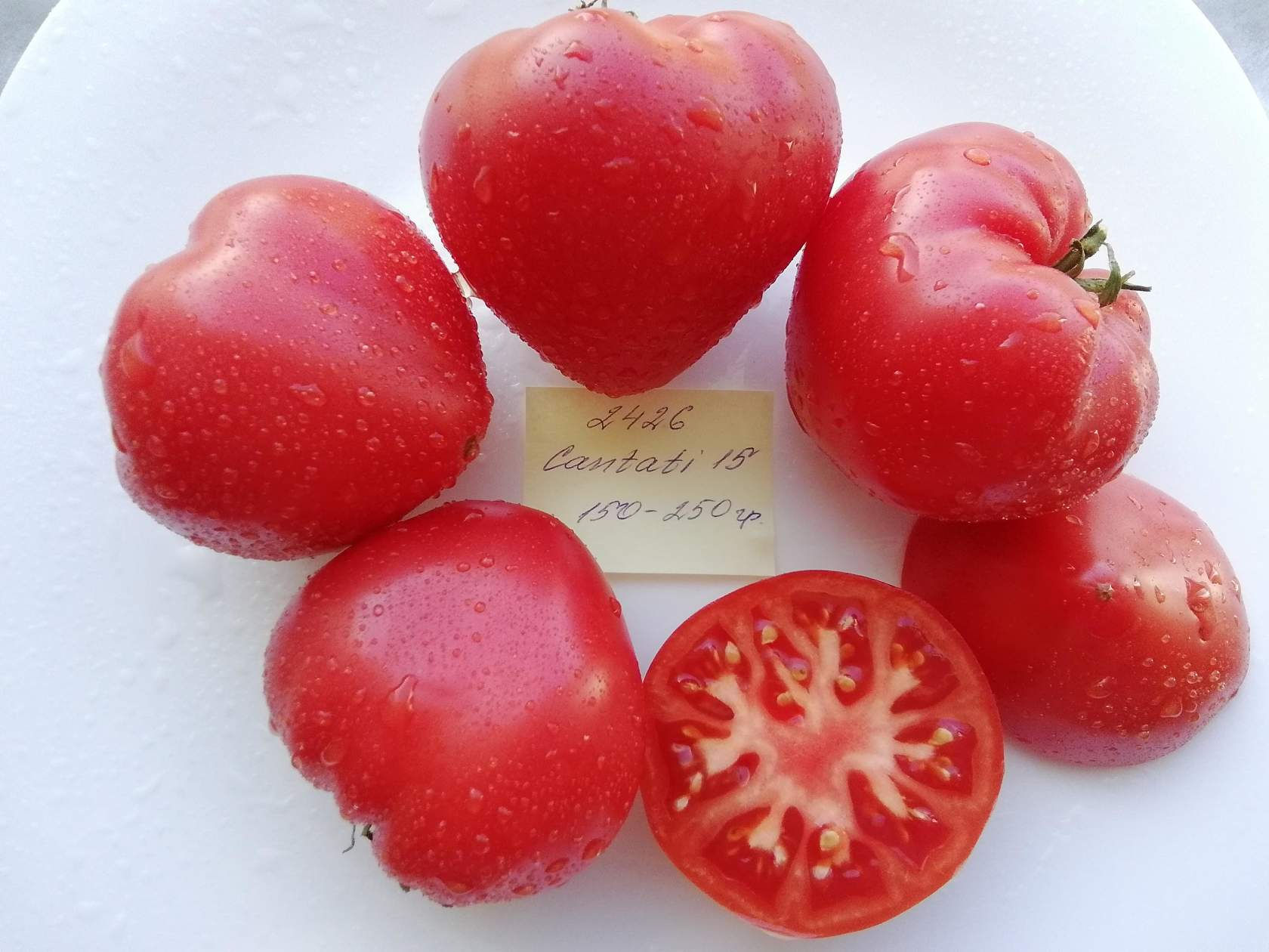 2426 - Cantati 15 \ Кантати 15