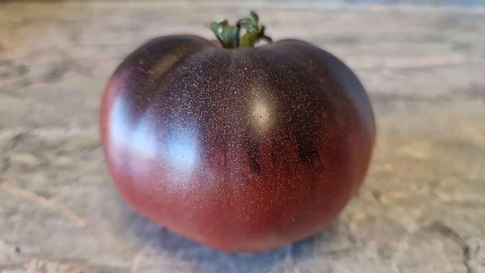 2728 - Unknown brilliance F4 / Неизвестный блеск