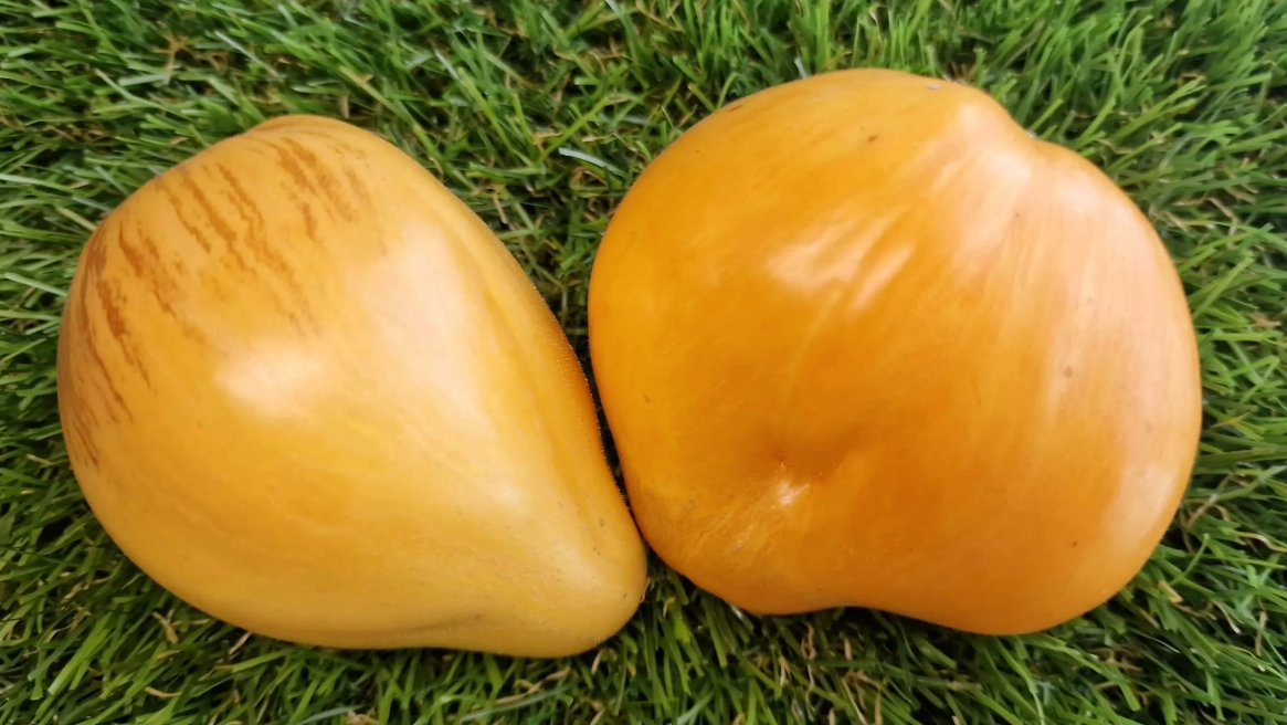 4546 - Melon liqueur with anto / Дынный Ликер с анто