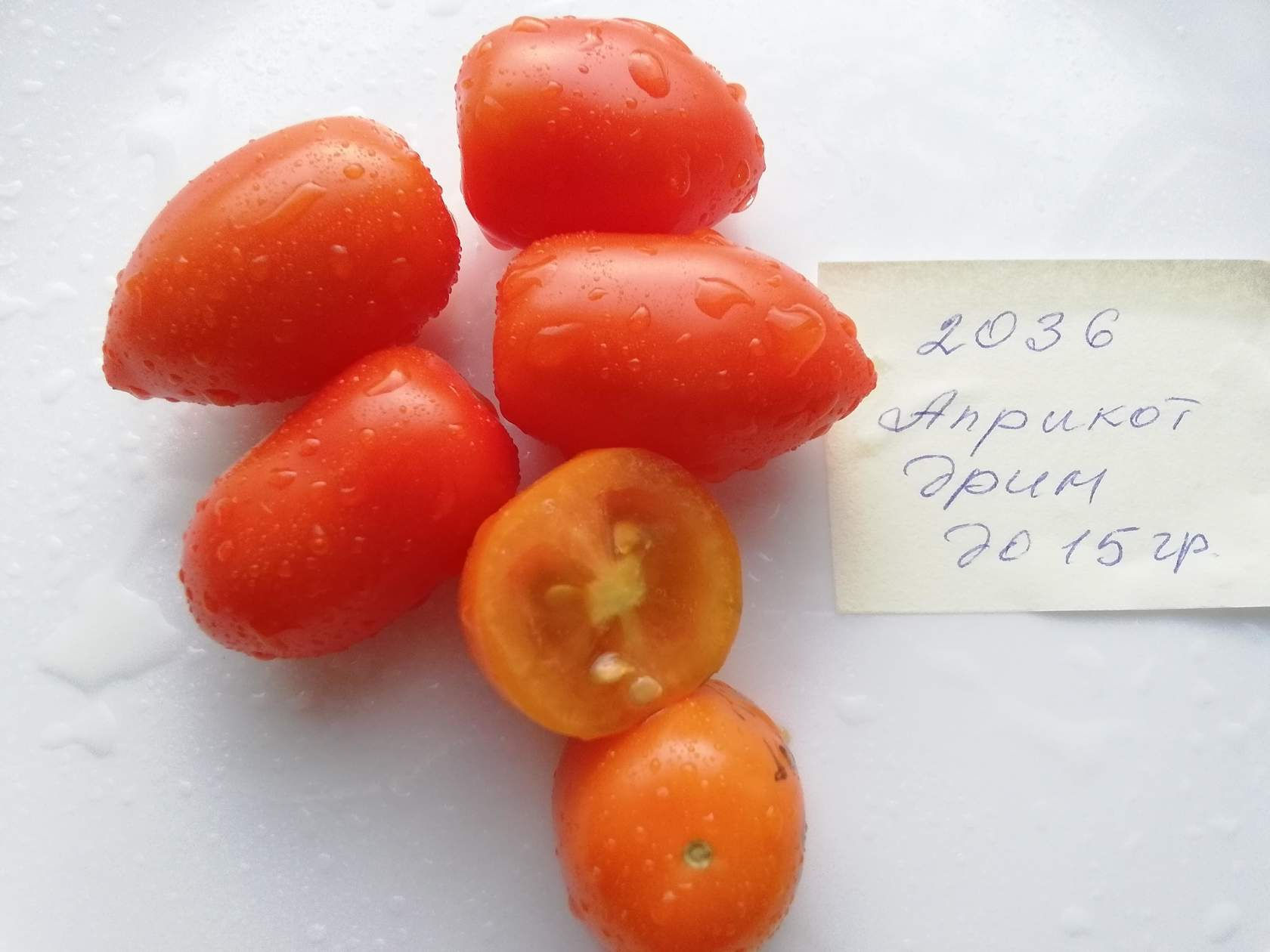 2036 - Apricot dreams \ Абрикосовые сны