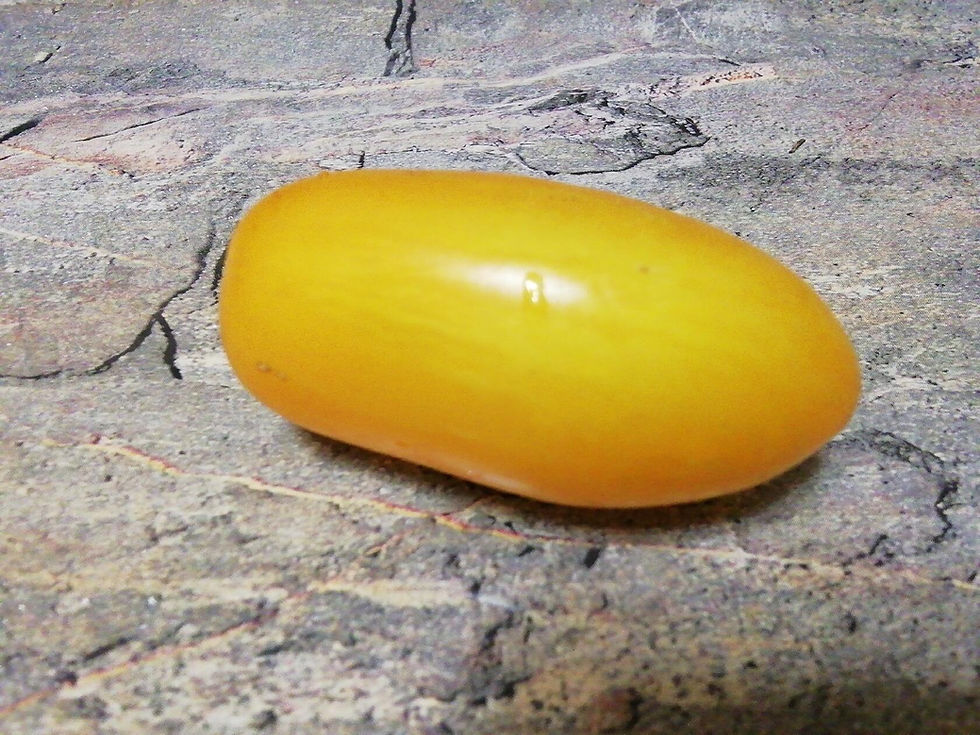 Thumbnail: 3504 -Sweet casady yellow / Сладкий Кассади жёлтый