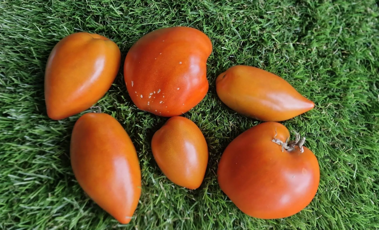 2932 - Bronze heart of Angel F6 / Бронзовое сердце Ангела