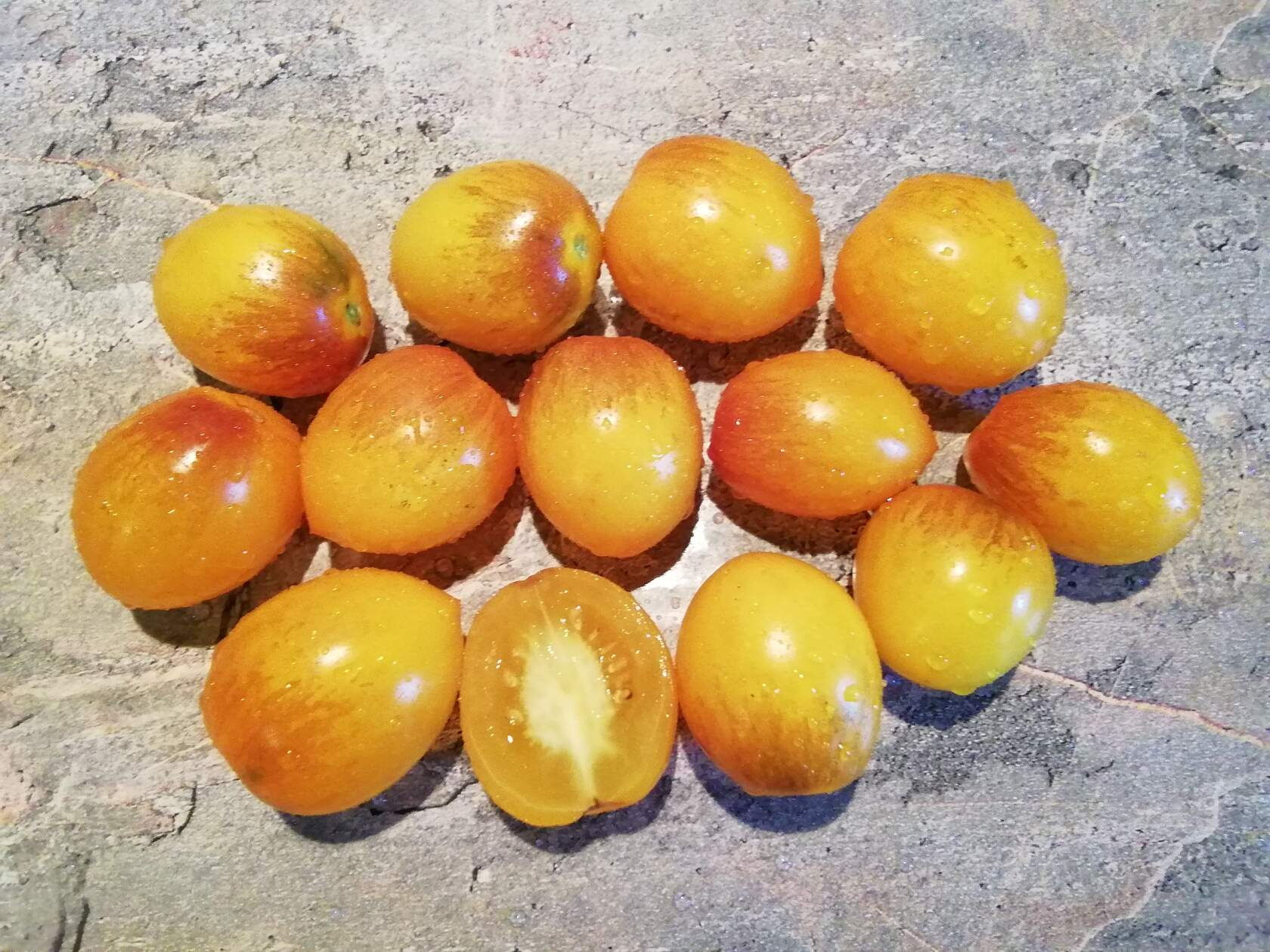 3428 - Dwarf Dream Weaver / Гном Странник снов