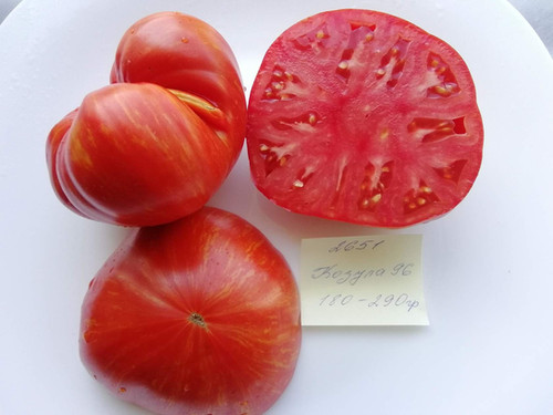 tomato 52684-PK-P1_1-1-jpg-247x247.webp