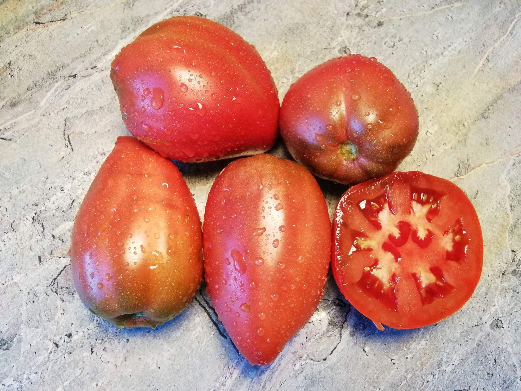 3230- Dwarf  Almandine / Гном Альмандин