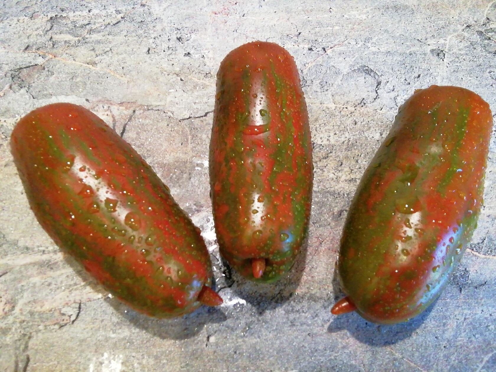 3990А - Тiger fang / Клык тигра