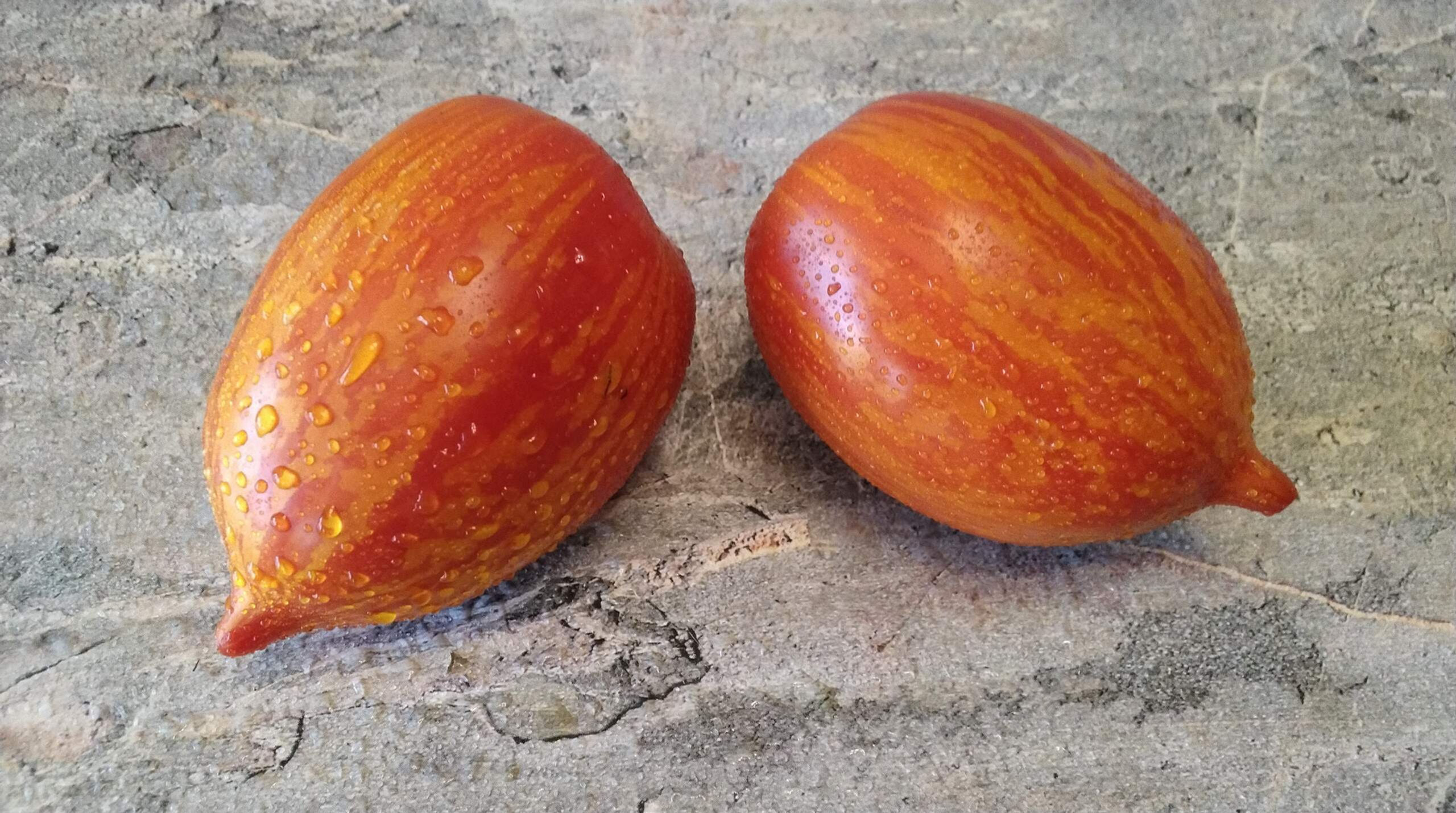 1807 - Amur waves / Амурские волны