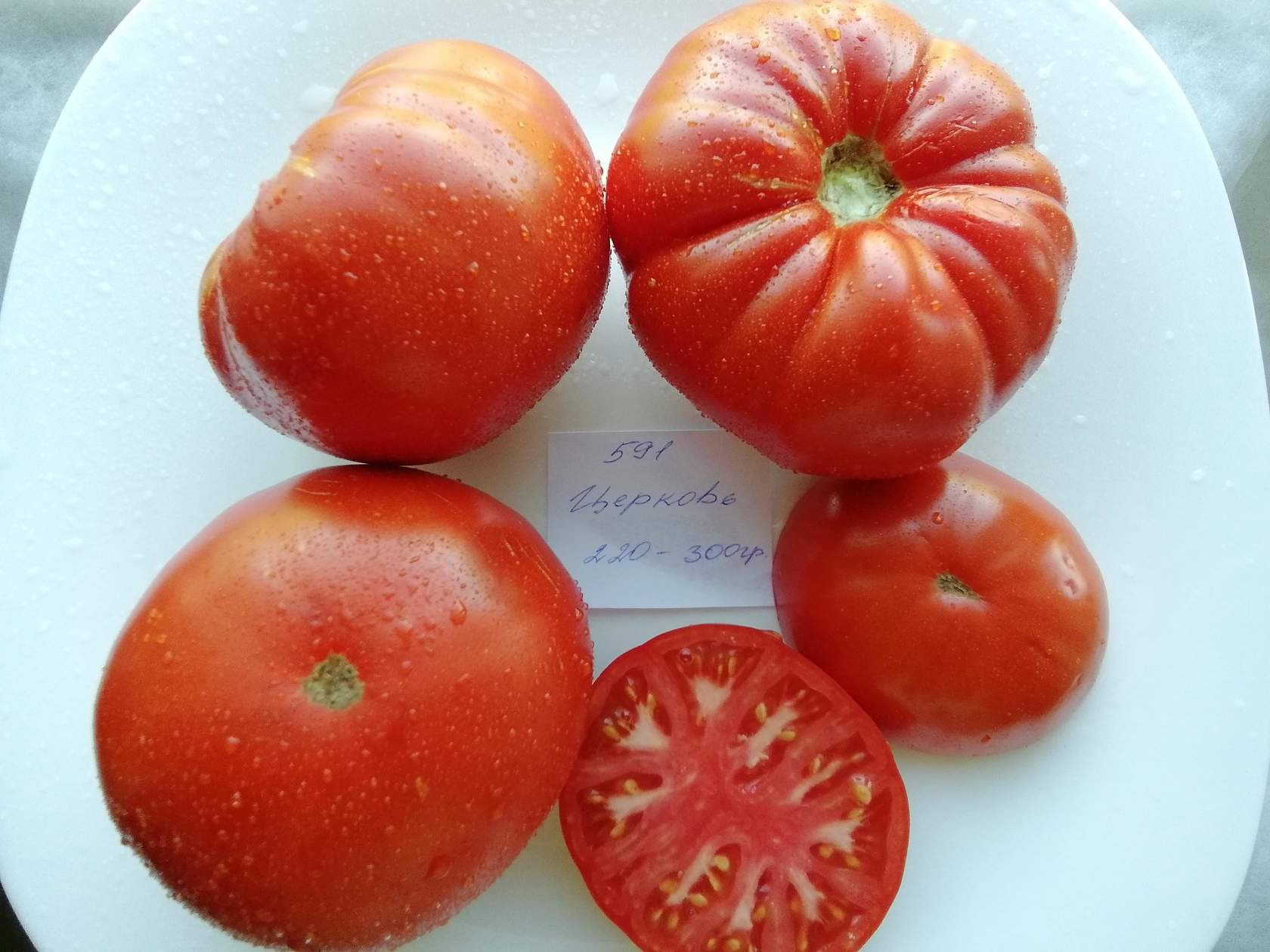 591 - Church \  Церковь